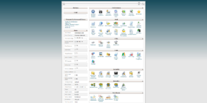 cPanel